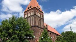 Jakobikirche Greifswald